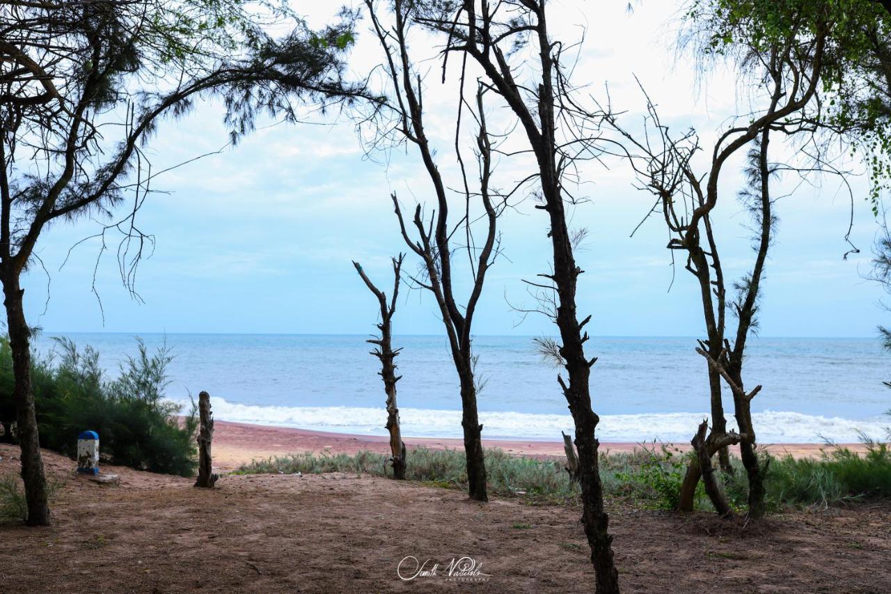 Ceylonta Beach Resort And Spa هامبانتوتا المظهر الخارجي الصورة